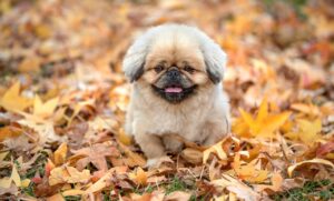 佐賀県でおすすめの女子旅プランは？