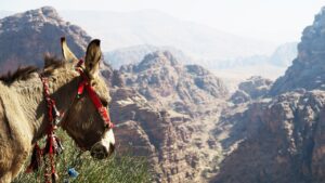 女子旅でご当地グルメを楽しめる宿はどこですか？