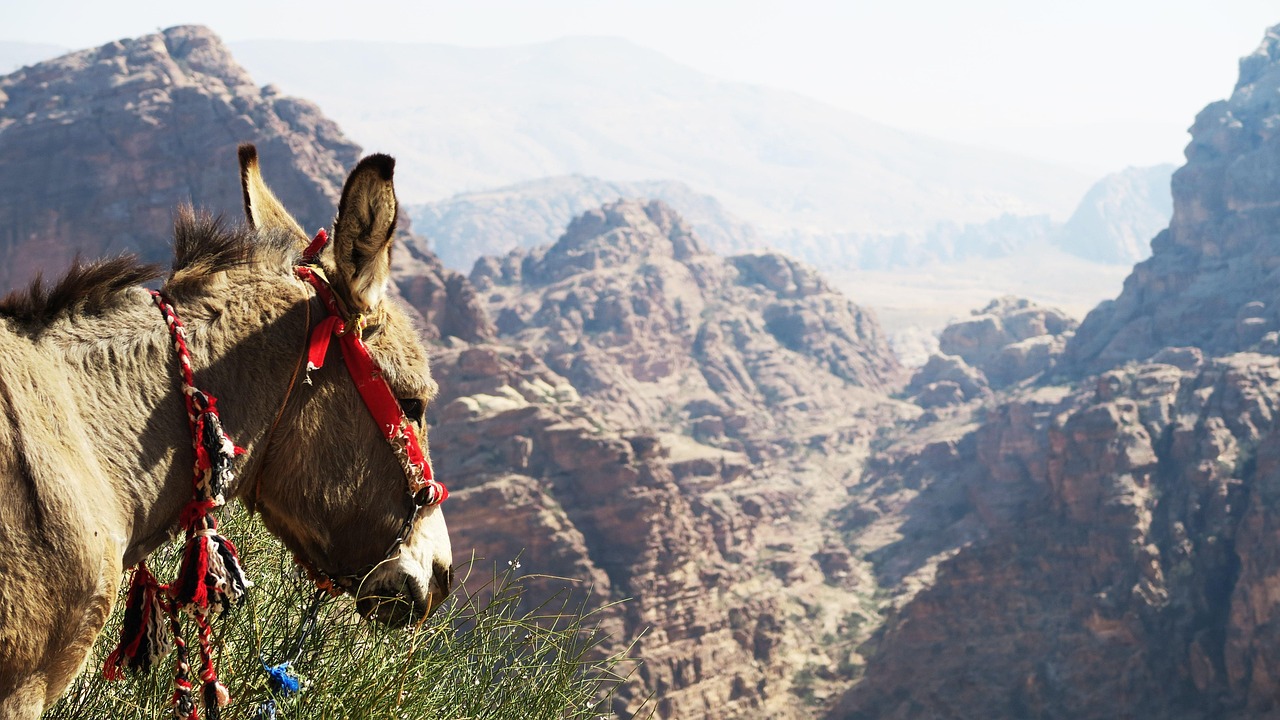 女子旅でご当地グルメを楽しめる宿はどこですか？