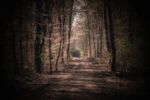 女子旅にぴったりの静かな宿はどこがおすすめ？