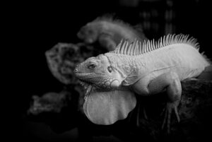 九州のおこもり宿で楽しむ女子旅の魅力とは？