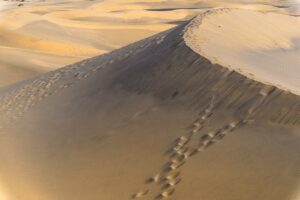 福岡県の美肌におすすめの温泉宿はどこですか？