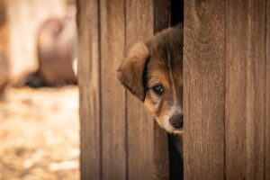 有馬の女性一人旅で楽しむ貸切風呂の魅力は？
