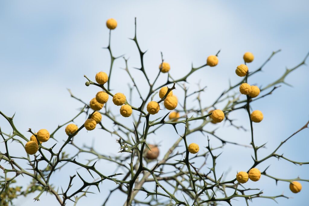 登別で大人女子旅を楽しむための美肌の湯はどこ？